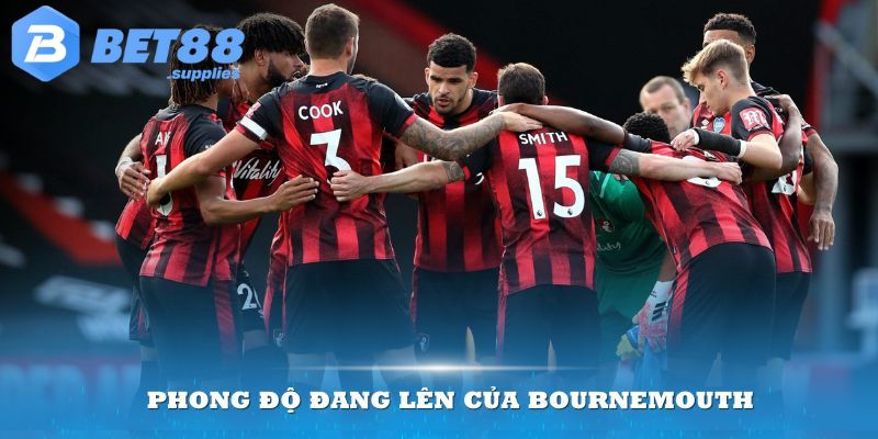 Phong độ đang lên của Bournemouth