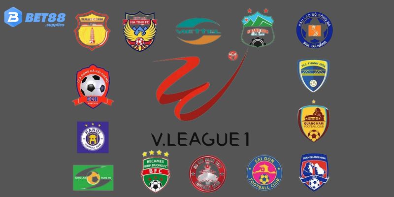 Các câu lạc bộ V League giai đoạn 2013